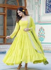 Embroidered Gown in Parrot Green